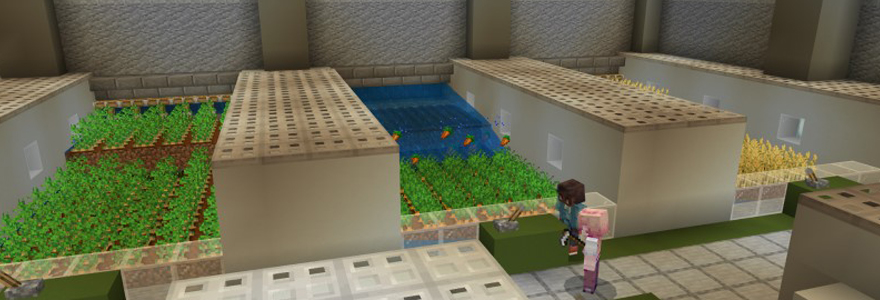 bunker dans Minecraft