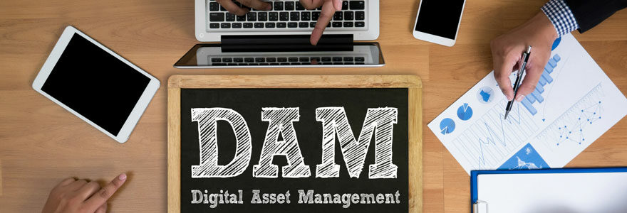 Digital Asset Management